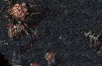 1.76韩国秒卡版恶魔洞穴怎么去 恶魔洞穴地图坐标攻略